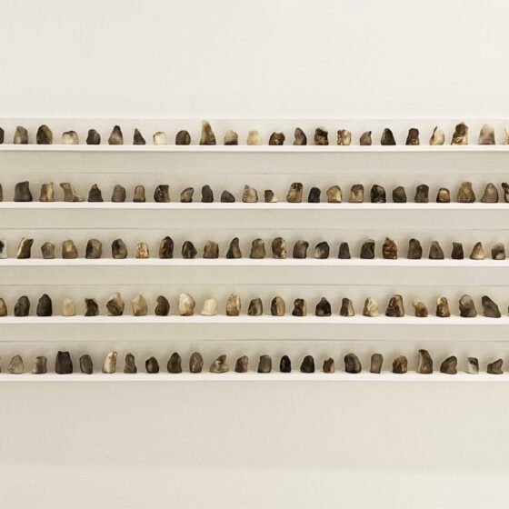 05-Agnes-Lau-_The-Naked-Souls-2022-Smoked-and-polished-white-clay-fired-at-1100_C-painted-wooden-racks-8-x-200-x-7-cm-each-rack.-Image-from-Taksu
