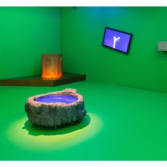 05-Joo-Choon-Lin-_Your-Eyes-are-Stupid-2013-Mixed-media-installation.-Image-from-Artsy-scaled