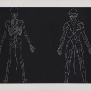 H.H.Lim-‘Anatomia-de-diavolo’-2021-ink-on-paper-50x70cm-Image-from-Capitolium-Art