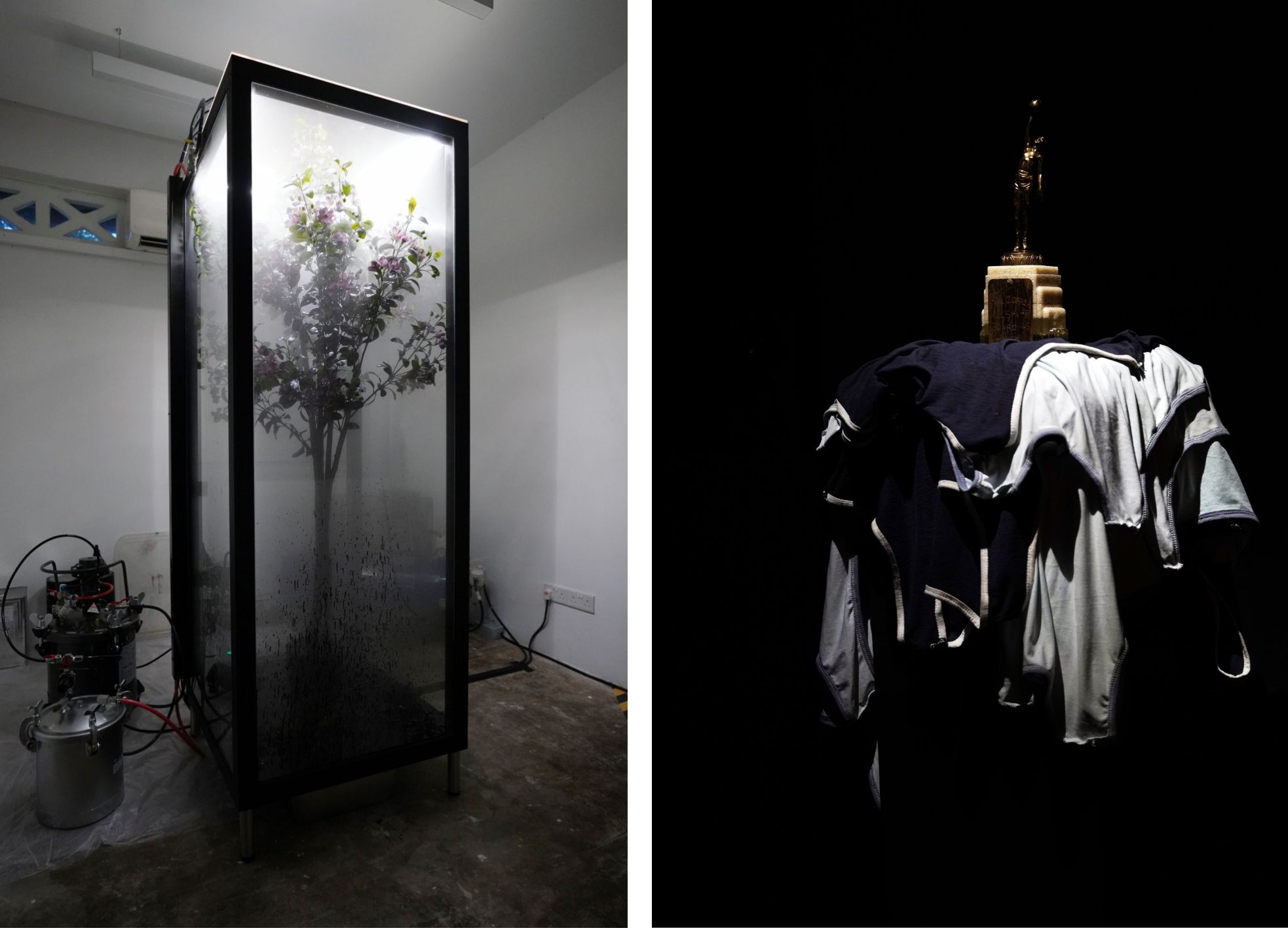 nthony Chin, ‘OKA9420 - Peach Blossom’, 2025, synthetic peach blossom plant, automated spray paint system, black solvent paint, glass vitrine, 70 x 70 x 210 cm. Image courtesy of the artistAnthony Chin, ‘TROPHY - object’, 2020, vintage American basketball trophy; sweat-salt; epoxy resin; 10 shirts, dimensions variable. Image courtesy of the artist