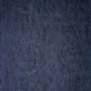 Artist Nipan Oranniwesna Feature Image