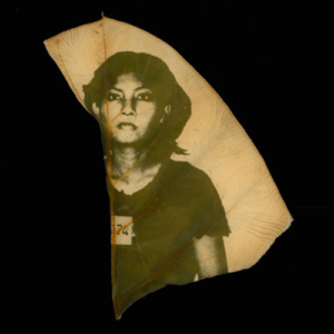 Binh Danh. feature photo