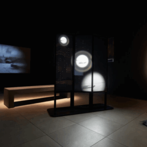 Boedi-Widjaja-‘Book-of-Geneology-2021-photographs-and-sculptural-lightbox.-Image-from-Fact