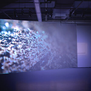 Cheryl-Chiw-‘Microverse-IV-2017-video-projection-on-glass-panel-