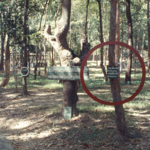 Chiang Mai Social Installation. Image from Afterall