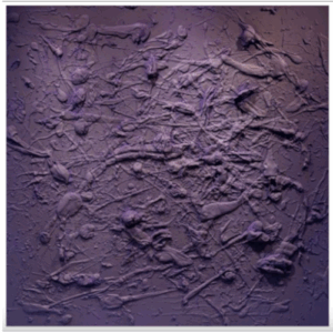 Christopherson Ho feature photo