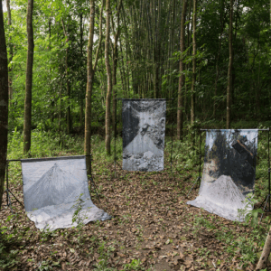 Dito Yuwono, Exhibition view of ‘A Kingdom, a Giant Mushroom Shaped Volcano’ at ‘900mdpl: Genealogy of Ghosts and How to Live with Them’, 2022. Image courtesy of the artist