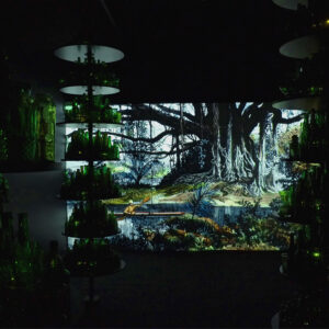 Donna Ong, 'The Forrest Speaks Back', Single channel video projection, green glass vessels, wood platters, steel supports and LED lights, 1000 x 600 x 350cm, Image courtesy of the artist
