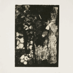 Goh-Beng-Kwan-‘The-Veil-2006-photo-etching-with-kozo-paper-chine-collo-on-STPI-handmade-white-cotton-paper-61-x-52-cm.-Image-from-Artsy-