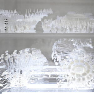 Grace Tan, 'Exotic Trophies', 2020, Free standing stainless steel and acrylic stacked structure with LED light and objects made from polyamide and polypropylene tag pins and nickel plated brass tubes, H54 x W40 x D40 cm. Photography by Lim We