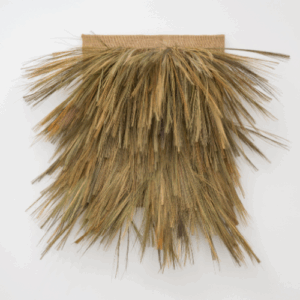 Hoa Dung Clerget feature photo