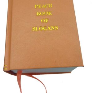 Kiri Dalena, 'Peach Book of Slogans', 2014, bound digital prints, 10.3 x 13.3 x 7.5 cm. Image from Artsy