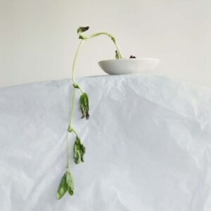 Lavender-Chang-Board-Bean-Dying-2017-photograph-Image-from-the-artists-website