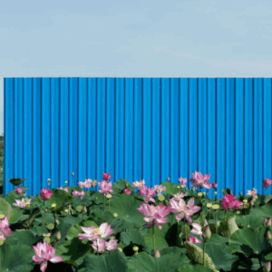 Lim-Sokchanlina-‘Lotus-Field-Prey-Veng-Province-Wrapped-Future-II-Series-2017-–-2018-photography-156-×-104-cm-Image-from-Artsy