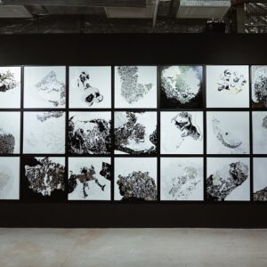 Ly Hoang Ly ,'The View', 2017 gold leaf silver leaf pencil ink acrylic lacquer paint on canvas, 76 x 76 cm. Image from The Factory Contemporary Arts Centre