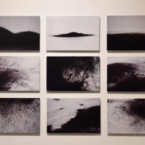 Nguyen Thi Thanh Mai, 'Disentangled no. 1 9', 2013, 9 photographs printed on aluminum, 90 x 120 cm (installed). Image from San Art