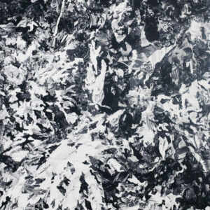 Patricia Perez Eustaquio AWDB profile eature image