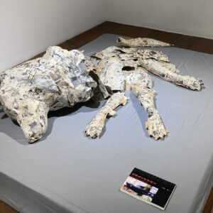 Ruangsak-Anuwatwimon,-'Japanese-Wolf',-2018.-Papier-mache-sculpture,-research-material,-installation-size-variable.-Photo-courtesy-of-Warin-Lab-Contemporary