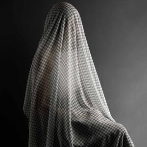 Stephanie Syjuco, 'Total Transparency Filter (Portrait of N)', 2017, archival pigment print, 76.2 x 101.6 cm. Image from the artist's website