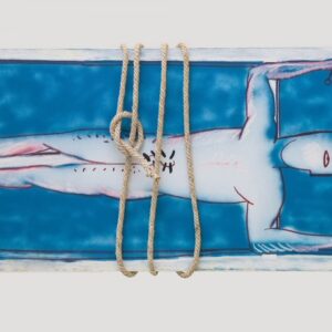 Truong Tan. 'What Do We Want', 1994, oil on canvas with rope, 94.6 x 200 x 25.4 cm. Image from Solomon R. Guggenheim Museum