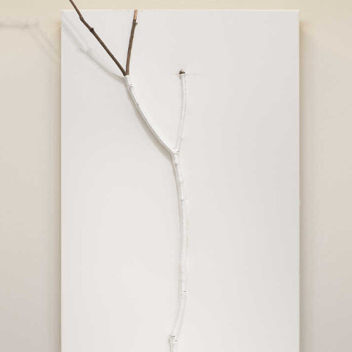 Woong Soak Teng AWDB profile feature image