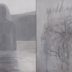 arahmaiani-confluence-ii-20102012-aware-women-artists-artistes-femmes